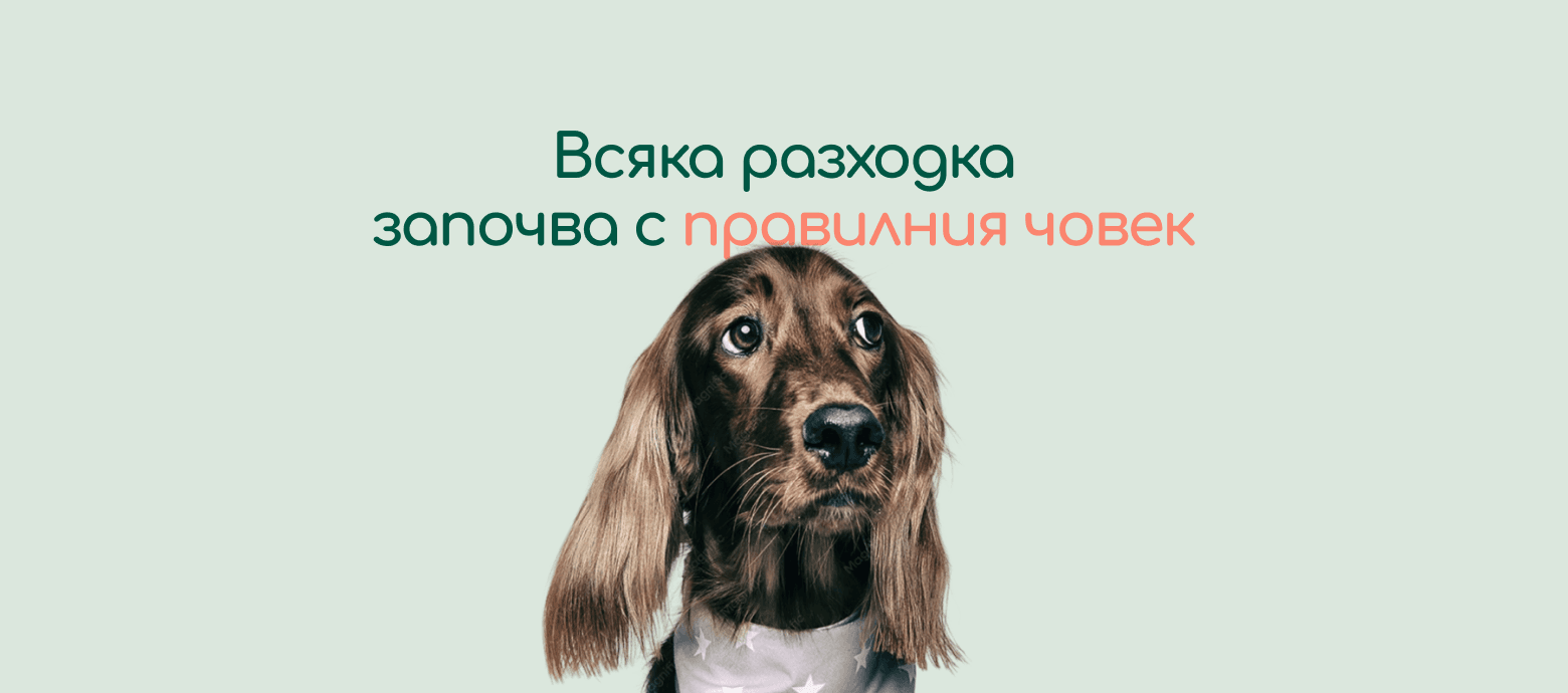 Хоп — грижа за твоя любимец, докато те няма